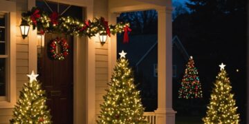 Outdoor Christmas Light Ideas