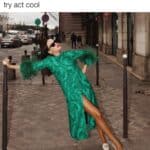 Funny Fashionable Meme