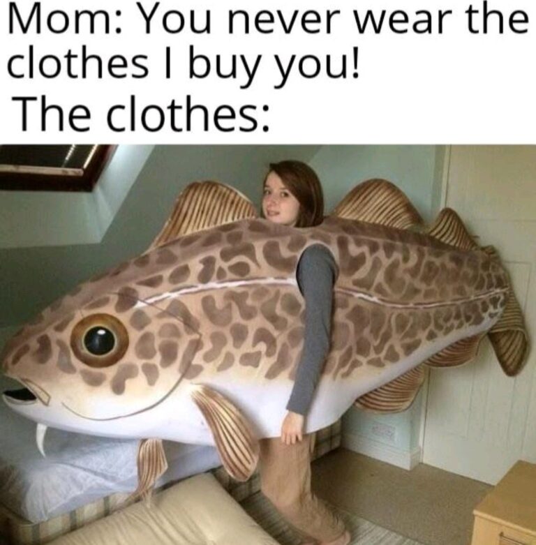 Funny Fashionable Meme