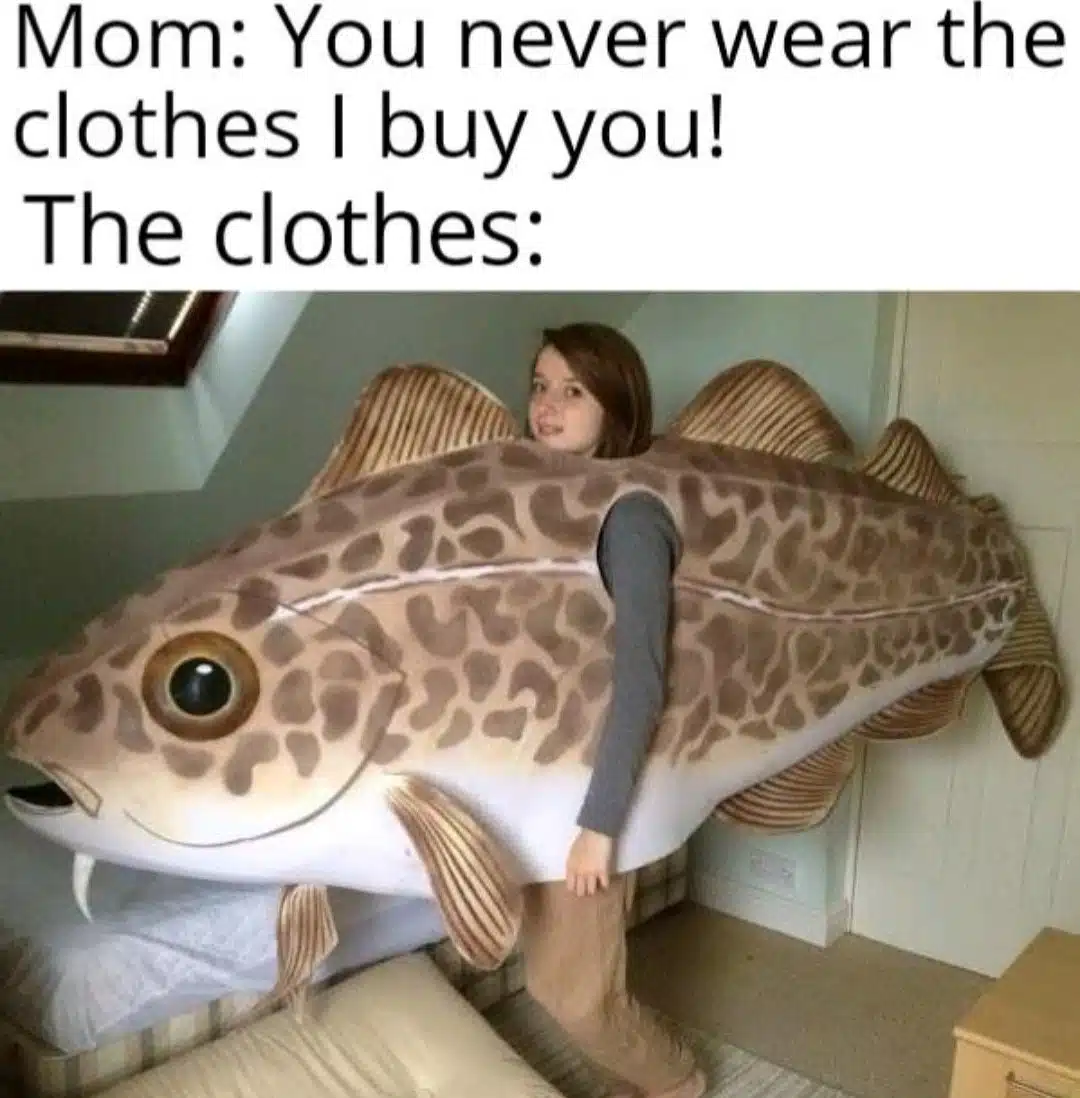 Funny Fashionable Meme