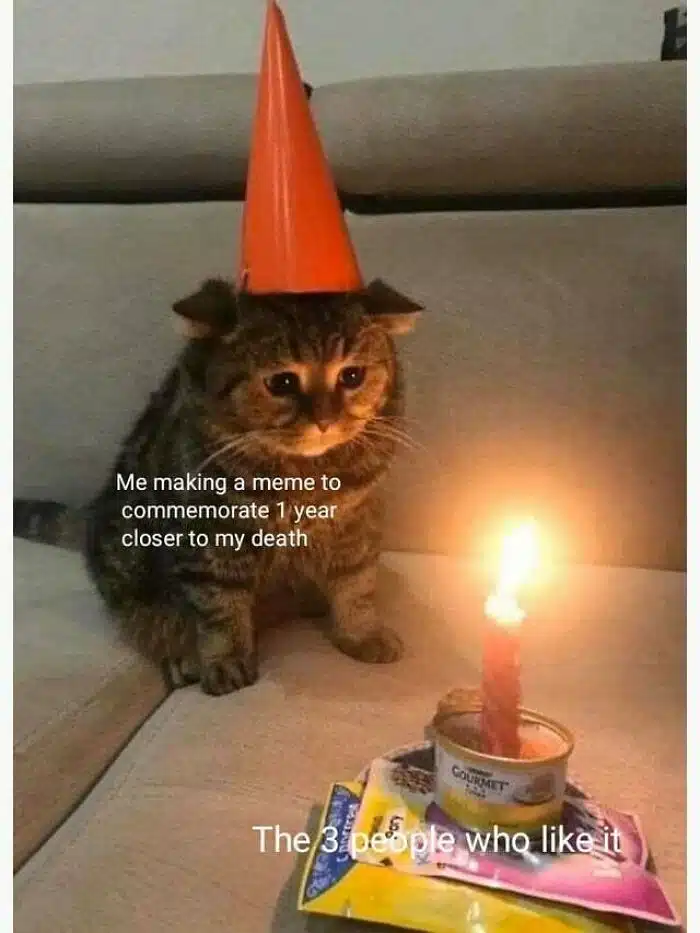 A birthday meme about a sad cat wearing a party hat stares at a lit candle on a can of cat food, with the text "Me making a meme to commemorate 1 year closer to my death" and "The 3 people who like it"