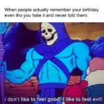 A birthday meme featuring Skeletor with the caption, "When people actually remember your birthday even tho you hate it and never told them:" followed by Skeletor saying, "I don't like to feel good! I like to feel evil!" Perfect for sharing with those who aren't fans of celebrating their own birthdays.