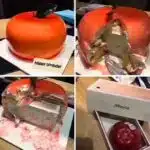 A birthday meme showing a birthday cake that looks like an apple. As the cake is cut, it reveals an actual iPhone box inside, but the box contains a real apple. The caption reads "Happy birthday." Perfect for sharing a humorous take on birthday surprises.