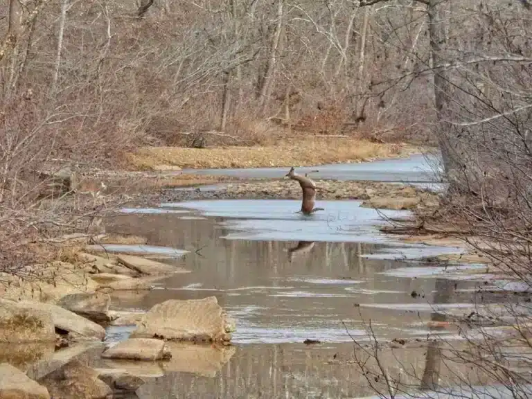 Was This Just Luck? A Collection of Perfectly Timed Shots