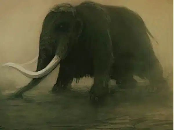 Woolly Mammoth (2,000 BC)