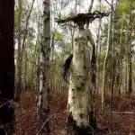 Creepiest Art From Around the World (26 New Images)