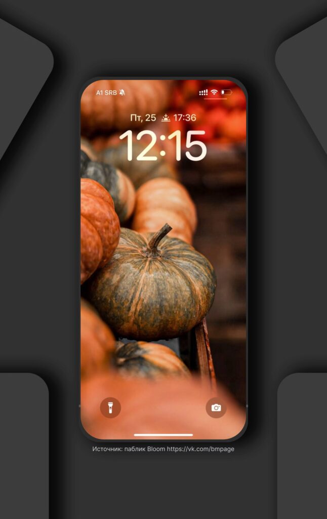 Stylish pumpkins wallpapers  for your phone.

Save 🍂