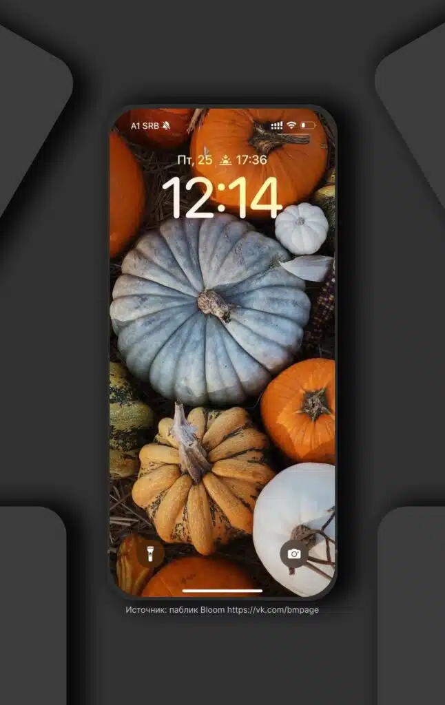 Stylish pumpkins wallpapers  for your phone.

Save 🍂