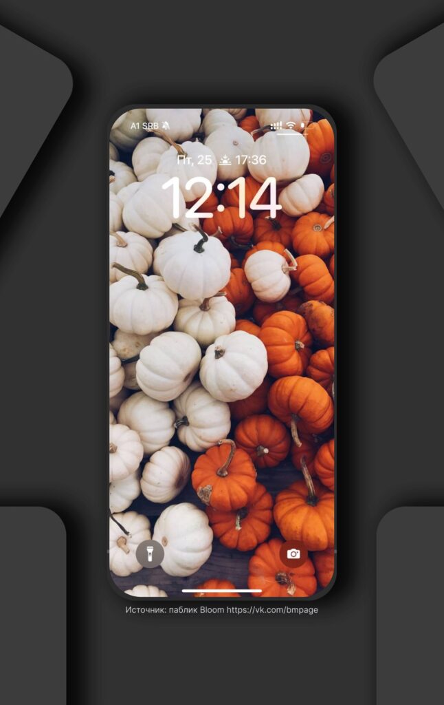 Stylish pumpkins wallpapers  for your phone.

Save 🍂