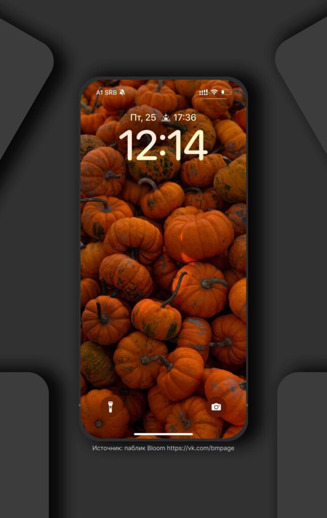 Stylish pumpkins wallpapers  for your phone.

Save 🍂