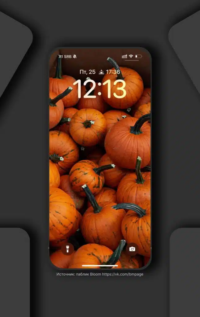 Stylish pumpkins wallpapers  for your phone.

Save 🍂