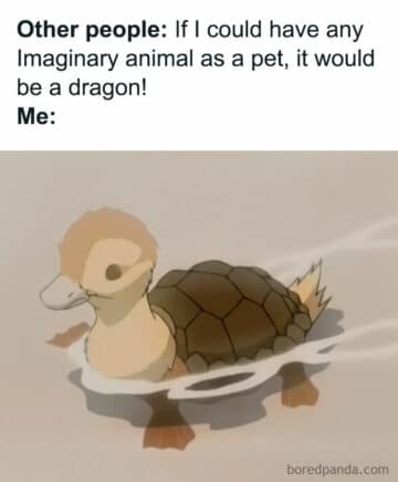 20 Turtle Memes: Slow, Steady, And Absolutely Hilarious