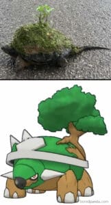 20 Turtle Memes: Slow, Steady, And Absolutely Hilarious