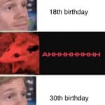 A birthday meme with three panels. The top panel shows a calm face with the caption, "18th birthday." The middle panel shows a screaming opossum with "AHHHHHHHHH." The bottom panel returns to the calm face with the caption, "30th birthday." This humorous meme highlights the contrast in reactions to milestone birthdays.