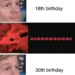 A birthday meme with three panels. The top panel shows a calm face with the caption, "18th birthday." The middle panel shows a screaming opossum with "AHHHHHHHHH." The bottom panel returns to the calm face with the caption, "30th birthday." This humorous meme highlights the contrast in reactions to milestone birthdays.