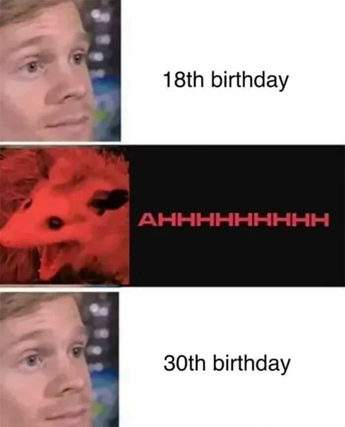 A birthday meme with three panels. The top panel shows a calm face with the caption, "18th birthday." The middle panel shows a screaming opossum with "AHHHHHHHHH." The bottom panel returns to the calm face with the caption, "30th birthday." This humorous meme highlights the contrast in reactions to milestone birthdays.