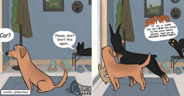 Hilarious Accurate Comic Depicting Cat’s Reaction To Barking Dogs