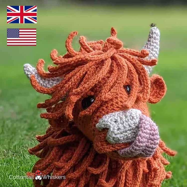 Highland Cow