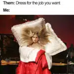 Funny Fashion Meme