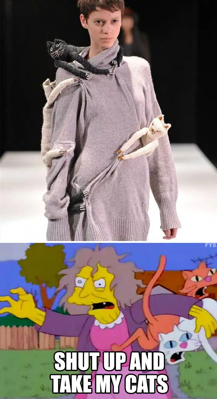 Funny Fashion Meme