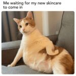 Skincare Mood Swings