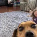 Was This Just Luck? A Collection of Perfectly Timed Shots