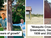 10 People Shared Before And After Pictures Of Trees Growing Through The Years