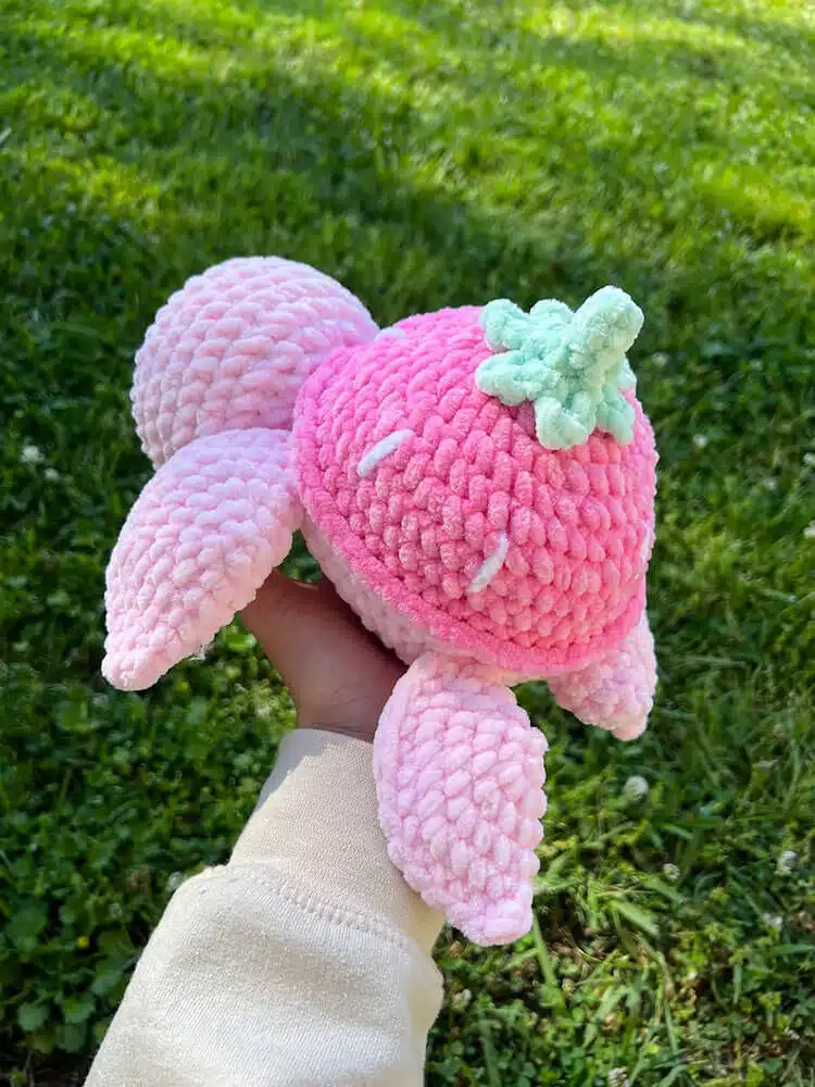 Strawberry Turtle