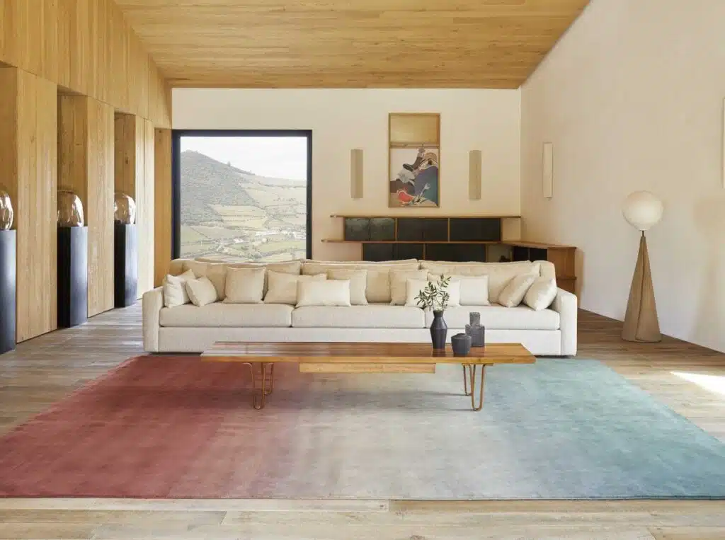 Living Room Rug Ideas