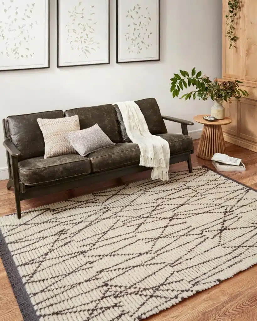 Living Room Rug Ideas