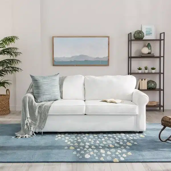 Living Room Rug Ideas