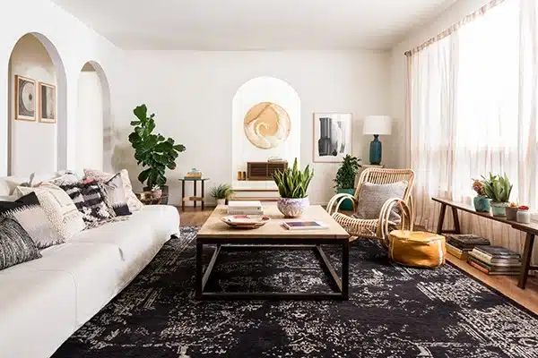 Living Room Rug Ideas