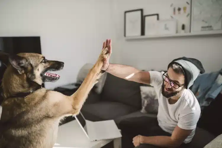 High Five