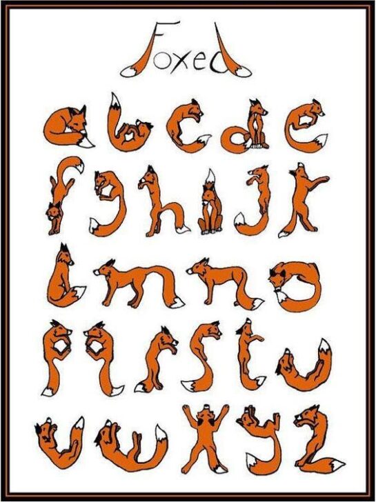 Animal fonts