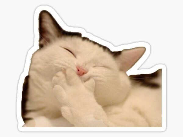 Creative Ideas for Using Animal Stickers to Brighten Your World