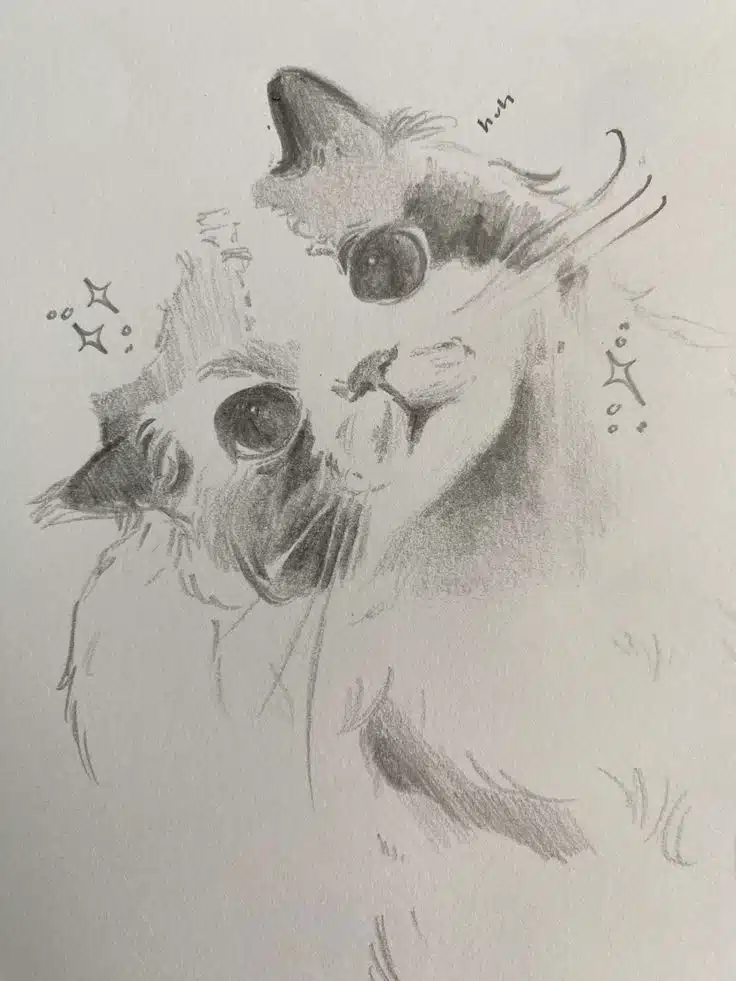 Easy cat sketching