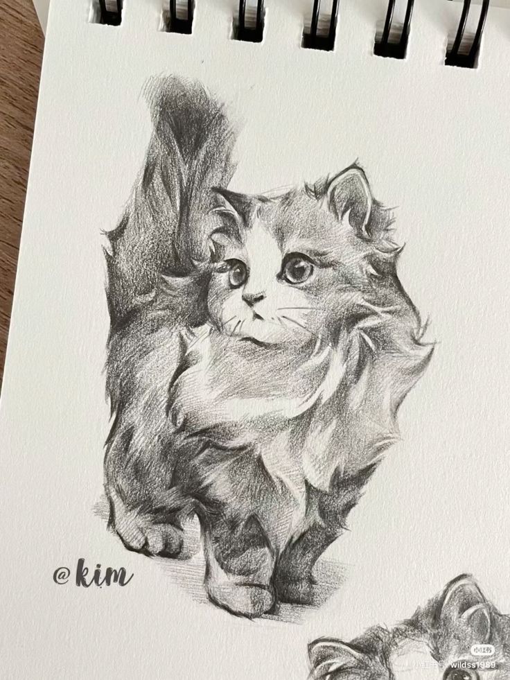 Easy cat art