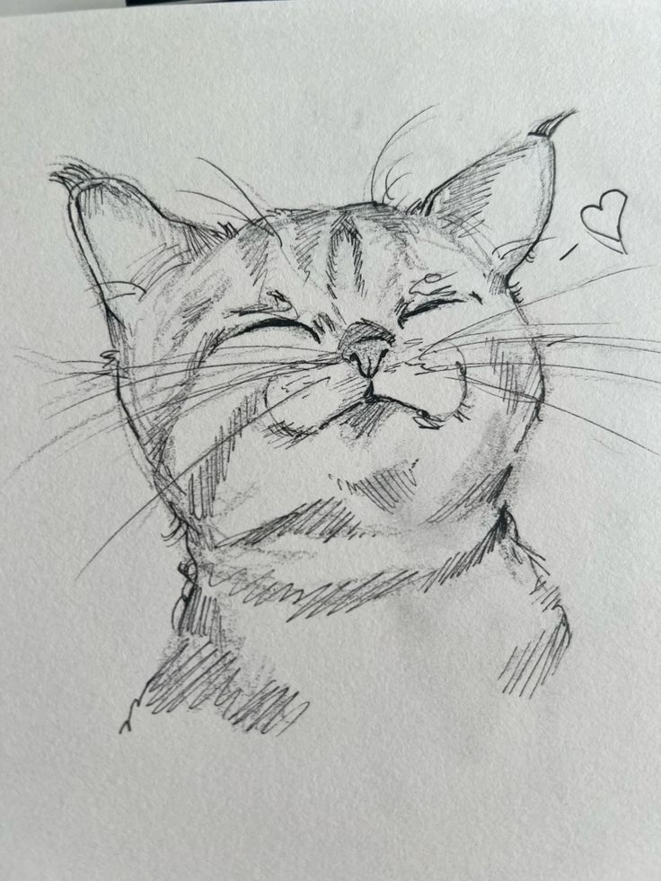 Easy cat art