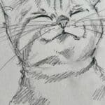 Beautiful Cat Art: Stunning Wallpapers and Easy Sketches for Beginners