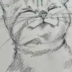 Beautiful Cat Art: Stunning Wallpapers and Easy Sketches for Beginners