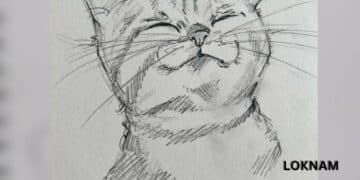 Beautiful Cat Art: Stunning Wallpapers and Easy Sketches for Beginners