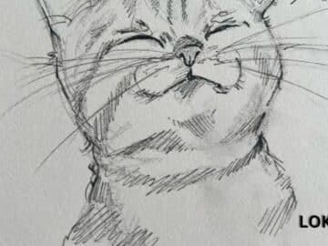 Beautiful Cat Art: Stunning Wallpapers and Easy Sketches for Beginners