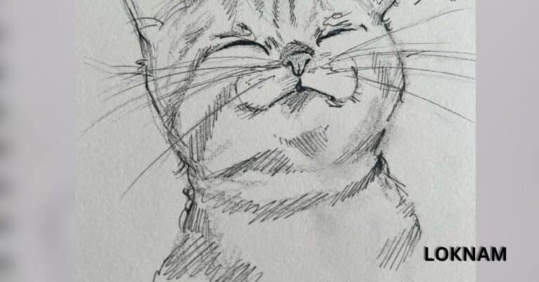 Beautiful Cat Art: Stunning Wallpapers and Easy Sketches for Beginners