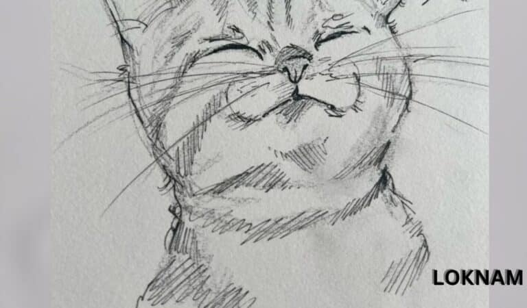 Beautiful Cat Art: Stunning Wallpapers and Easy Sketches for Beginners