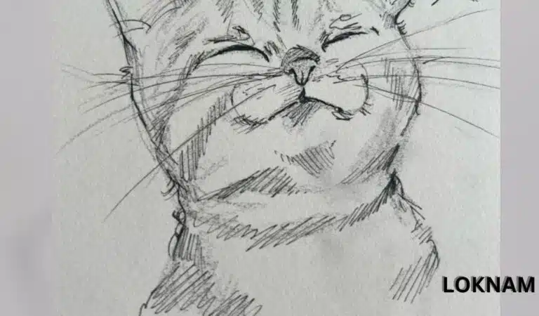 Beautiful Cat Art: Stunning Wallpapers and Easy Sketches for Beginners