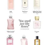 Top Perfume Picks for Women Work, Play, and Everything In Between