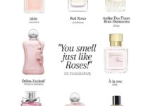 Top Perfume Picks for Women Work, Play, and Everything In Between