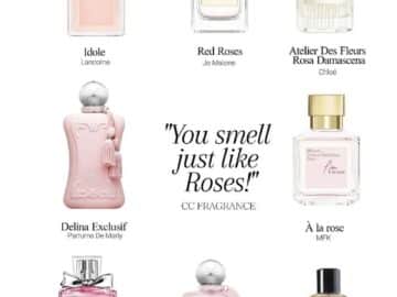 Top Perfume Picks for Women Work, Play, and Everything In Between