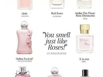 Top Perfume Picks for Women Work, Play, and Everything In Between