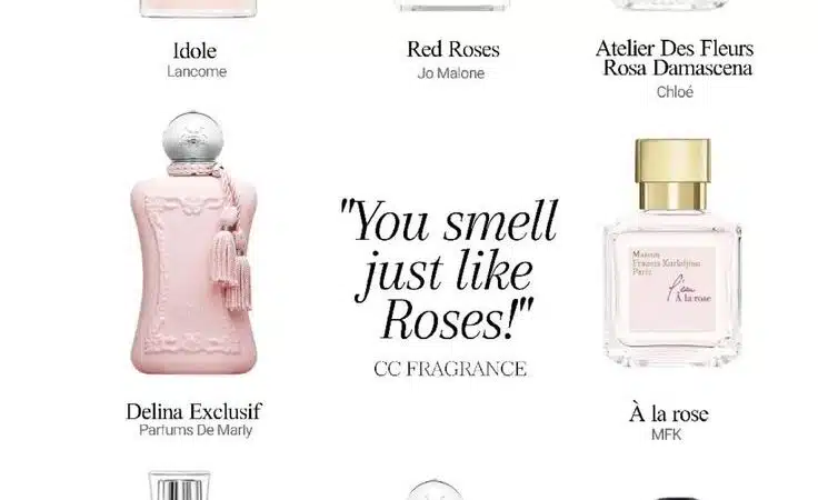 Top Perfume Picks for Women Work, Play, and Everything In Between